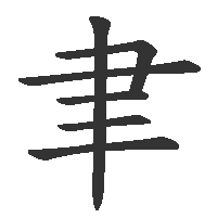 CNS
