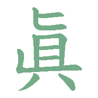 CNS
