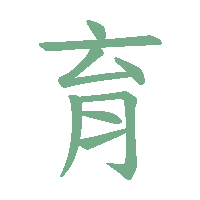 CNS