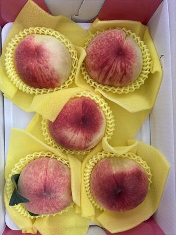 桃 產品圖片（圖片編號 1004012）