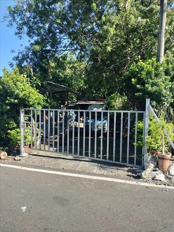 芒果 產品圖片（圖片編號 1005719）