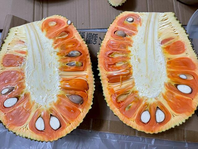 波羅蜜 產品圖片（圖片編號 1005931）