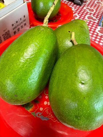 酪梨 產品圖片（產品編號 713451）