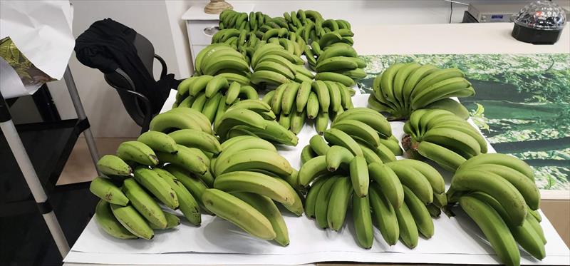 香蕉 產品圖片（圖片編號 1008736）