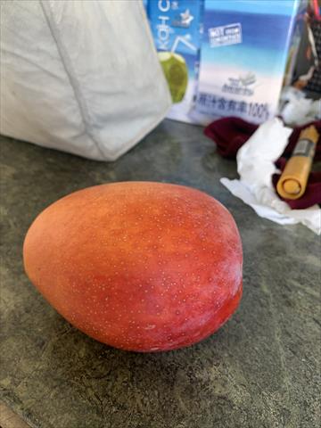 芒果 產品圖片（產品編號 716122）