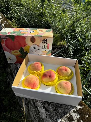 桃 產品圖片（產品編號 716134）