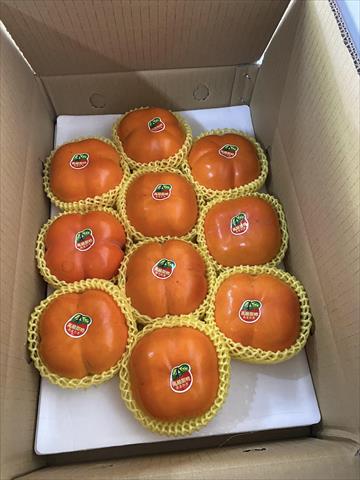 柿子 產品圖片（圖片編號 1011308）