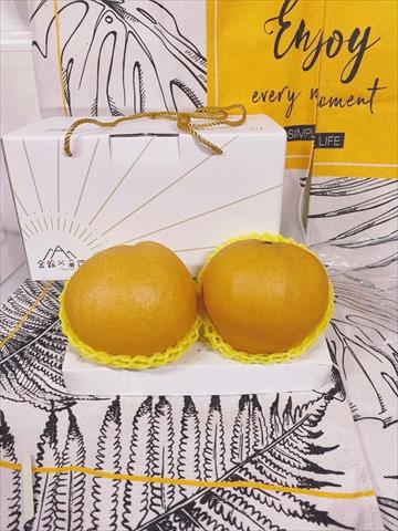 梨 產品圖片（圖片編號 1011312）