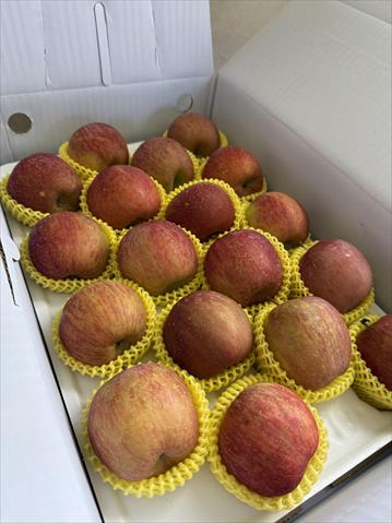蘋果 產品圖片（產品編號 716139）