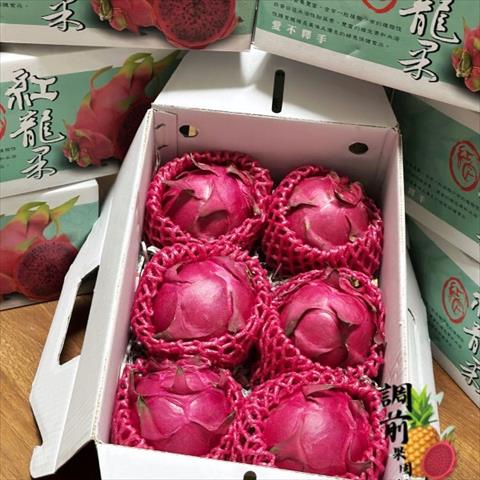 紅龍果 產品圖片（產品編號 717140）