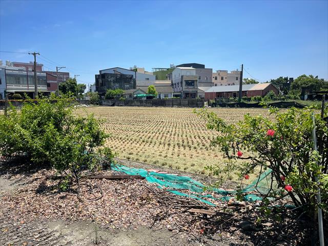 稉稻(白米或黑米) 產品圖片（產品編號 718958）