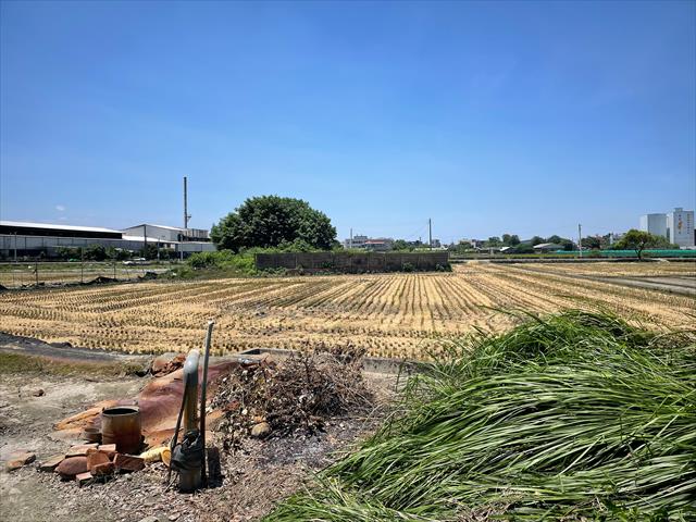 稉稻(白米或黑米) 產品圖片（圖片編號 1016662）
