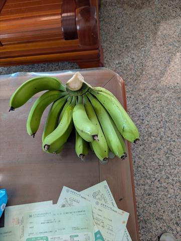 香蕉 產品圖片（產品編號 719444）