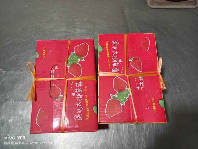 草莓 產品圖片（圖片編號 1020232）