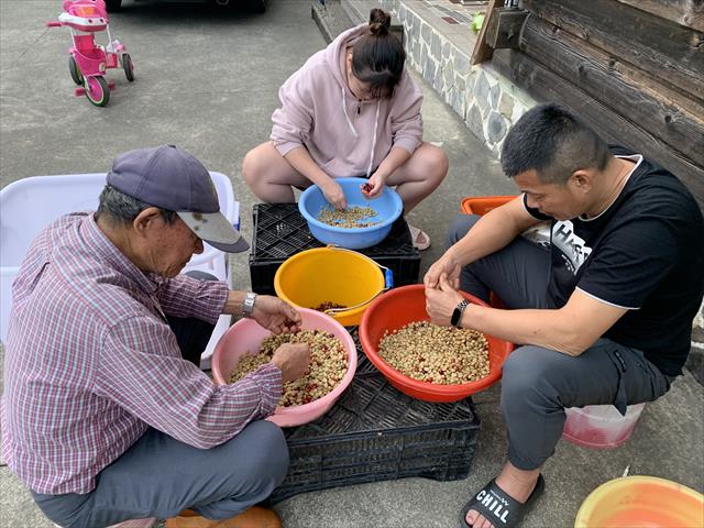 咖啡製品-咖啡 產品圖片（圖片編號 1021554）
