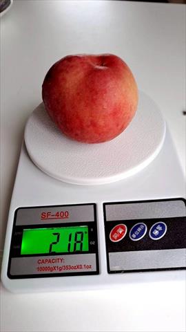 桃 產品圖片（圖片編號 1023580）