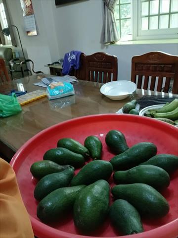 酪梨 產品圖片（圖片編號 1025302）