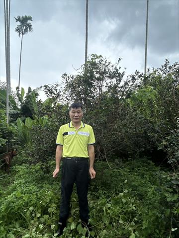 油茶製品-苦茶油 產品圖片（產品編號 723466）