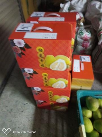 文旦柚 產品圖片（產品編號 723648）