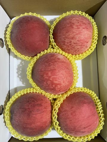 桃 產品圖片（產品編號 723939）