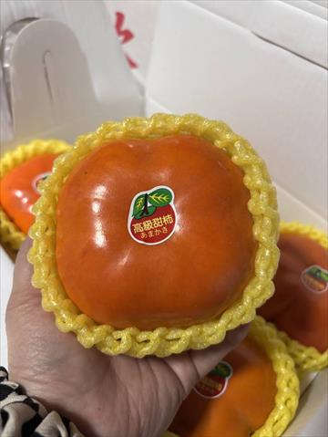 柿子 產品圖片（產品編號 723943）