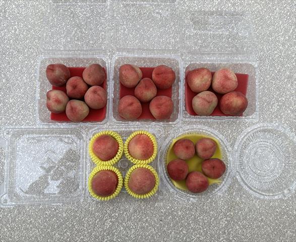 桃 產品圖片（產品編號 724267）