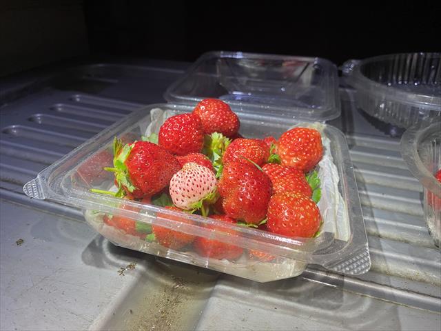 草莓 產品圖片（圖片編號 1027407）