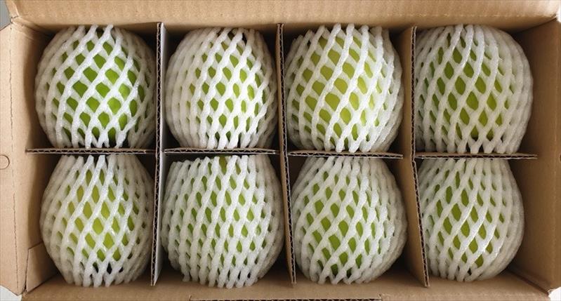 棗 產品圖片（產品編號 725342）