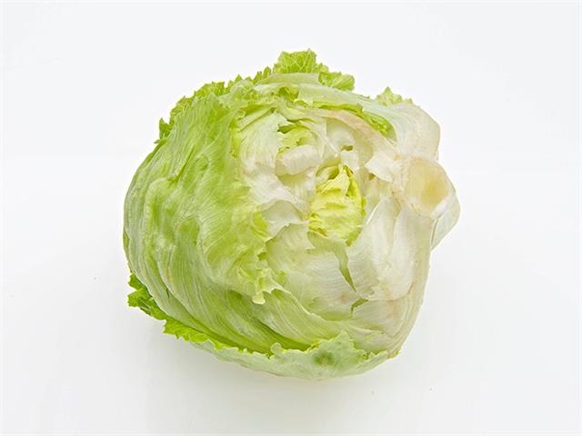 結球萵苣(包心萵苣,美生菜) 產品圖片（圖片編號 108175）