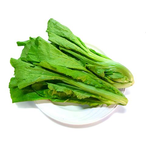 半結球萵苣(大陸妹) 產品圖片（產品編號 59884）