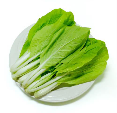 小白菜 產品圖片（圖片編號 108183）
