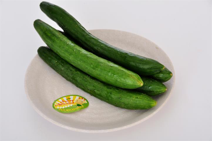 小黃瓜(花胡瓜) 產品圖片（圖片編號 108186）