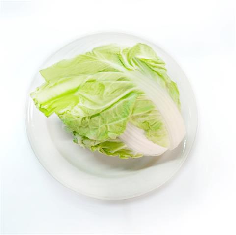 結球白菜(包心白菜) 產品圖片（圖片編號 108189）