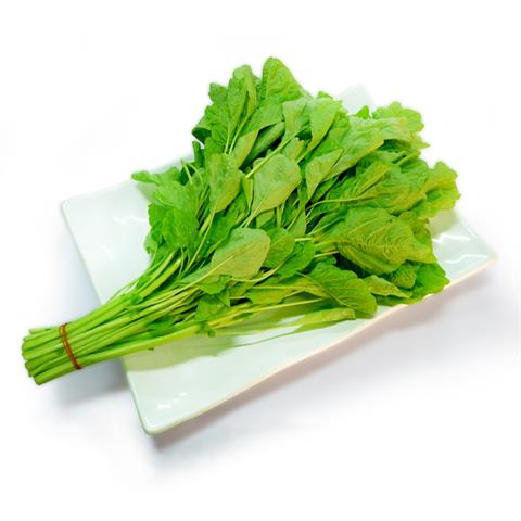 莧菜(刺莧菜) 產品圖片（圖片編號 108198）