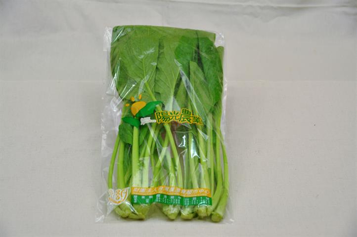 油菜(小松菜.青松菜) 產品圖片（圖片編號 108200）