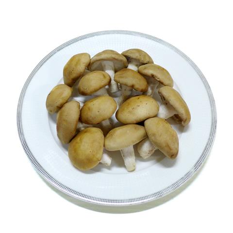 香菇 產品圖片（圖片編號 108222）