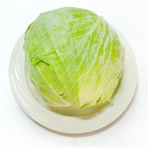 甘藍(高麗菜) 產品圖片（圖片編號 108223）