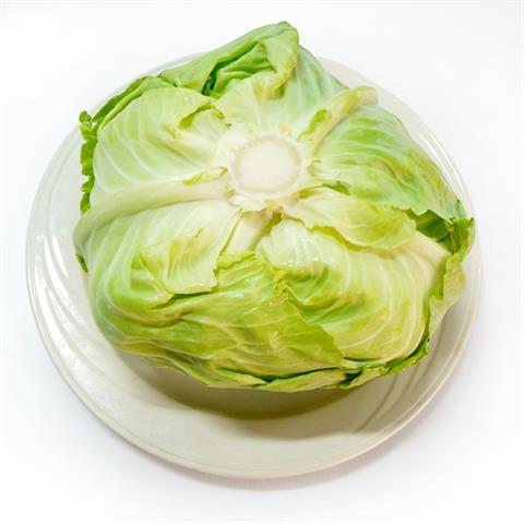 甘藍(高麗菜) 產品圖片（圖片編號 108224）
