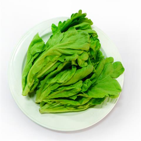 茼蒿 產品圖片（圖片編號 108226）