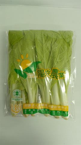 小白菜 產品圖片（圖片編號 108231）