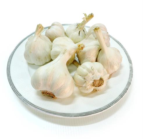 蒜頭 產品圖片（圖片編號 108235）