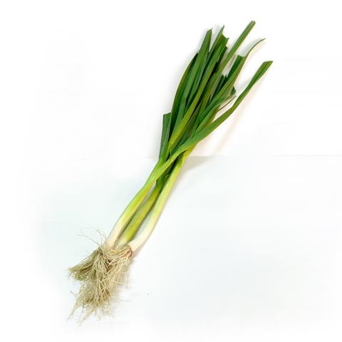 蔥 產品圖片（圖片編號 108236）