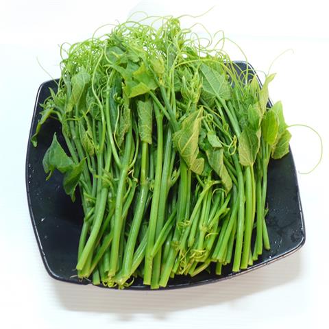 龍鬚菜(隼人瓜苗、梨瓜苗) 產品圖片（圖片編號 108238）