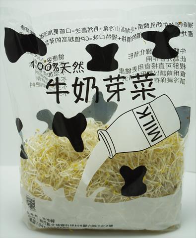 苜宿芽 產品圖片（產品編號 63861）