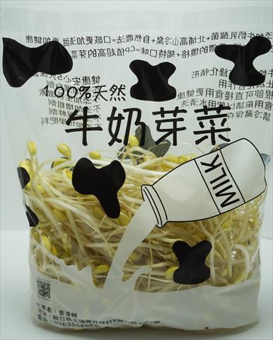 黃豆芽 產品圖片（產品編號 63863）
