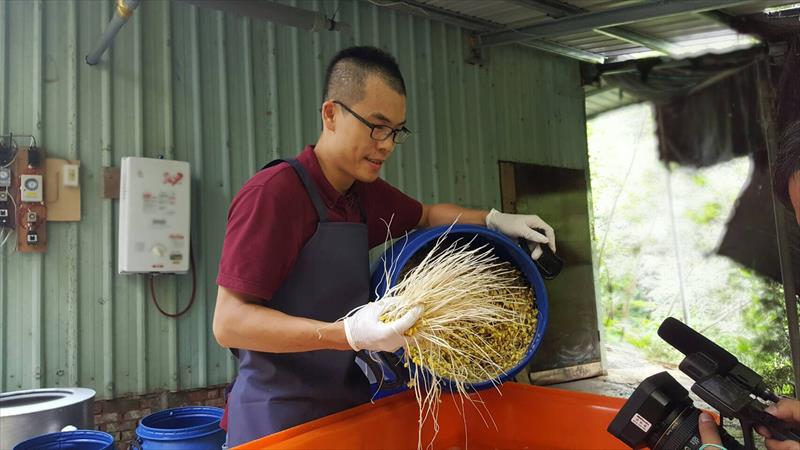 綠豆芽 產品圖片（圖片編號 114423）