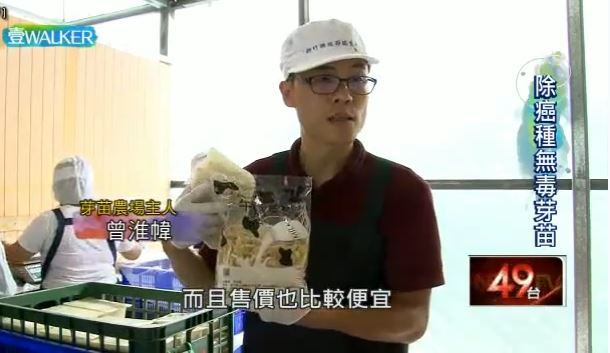 綠豆芽 產品圖片（圖片編號 114426）