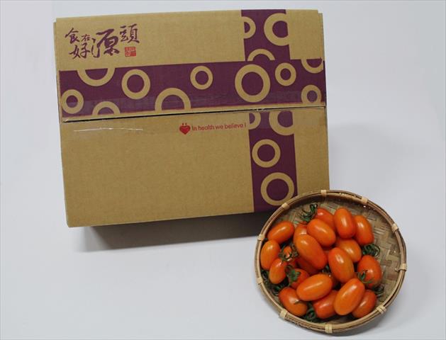 番茄(含小番茄) 產品圖片（圖片編號 117524）