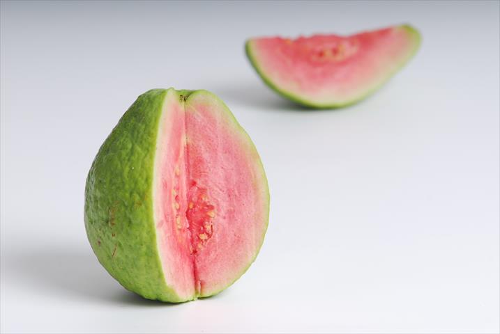 番石榴(芭樂) 產品圖片（圖片編號 117529）