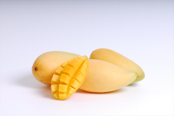芒果 產品圖片（圖片編號 117535）